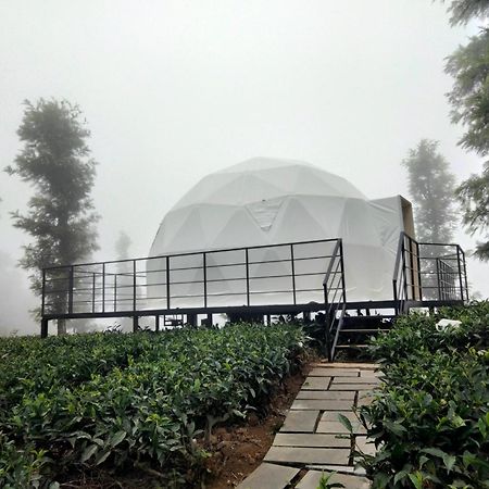 Vythiri Tea Valley I Best Hotel In Wayanad L Hotels In Vythiri Wayanad Eksteriør billede