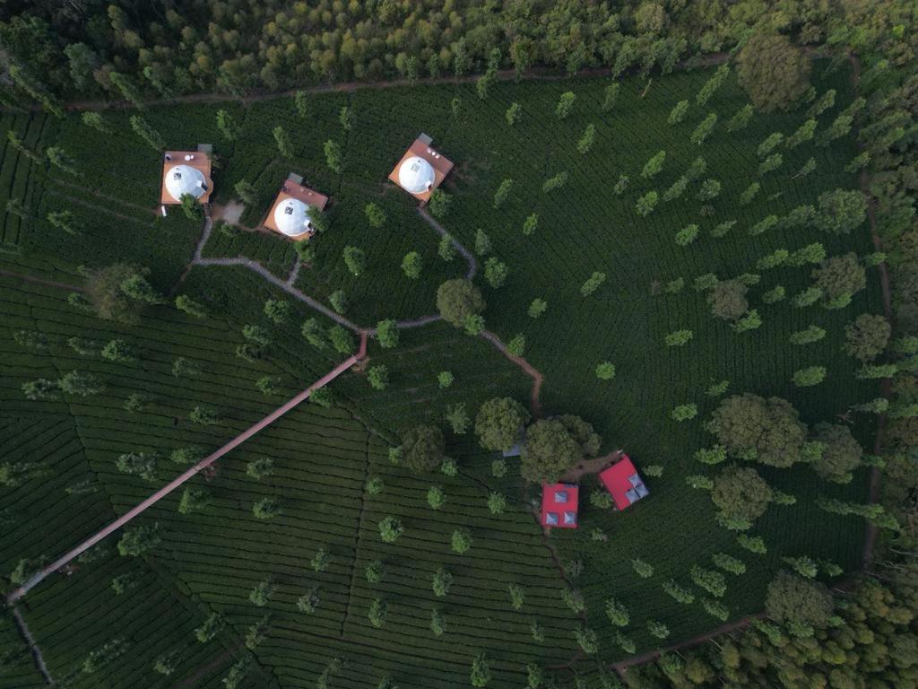Vythiri Tea Valley I Best Hotel In Wayanad L Hotels In Vythiri Wayanad Eksteriør billede