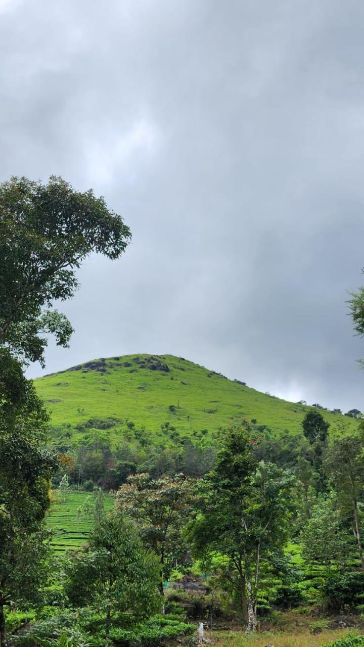 Vythiri Tea Valley I Best Hotel In Wayanad L Hotels In Vythiri Wayanad Eksteriør billede