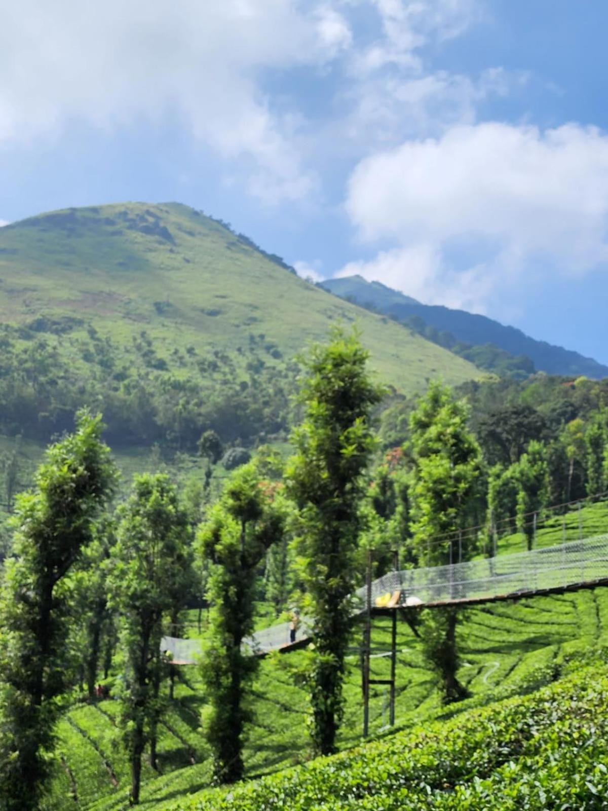 Vythiri Tea Valley I Best Hotel In Wayanad L Hotels In Vythiri Wayanad Eksteriør billede